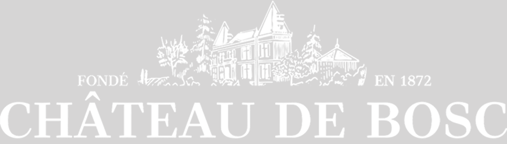 Vin bio sans sulfites de garde