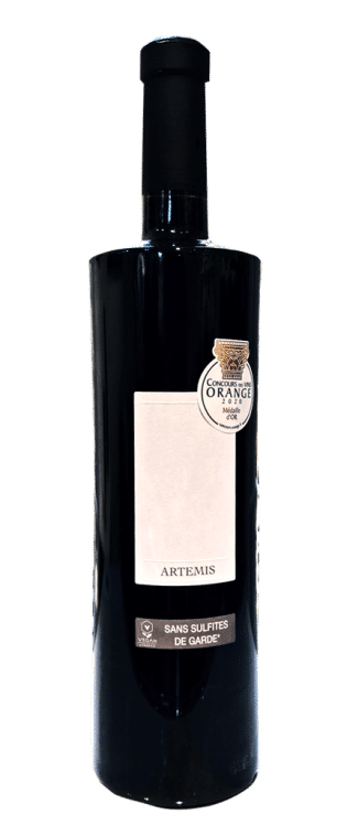 Artémis 2019